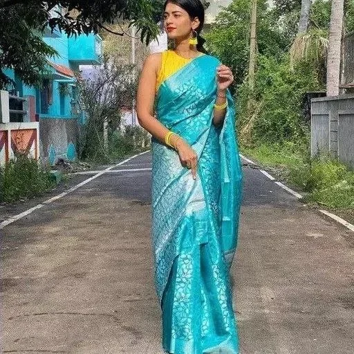 Women Banarasi Silk Woven Saree With Blouse Piece Sheer Mesh Blouse