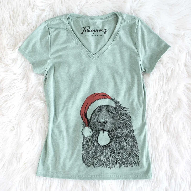 Santa Neptune the Newfoundland - Women's V-neck Shirt-- Terry Blend Velvet Blend Canvas Blend