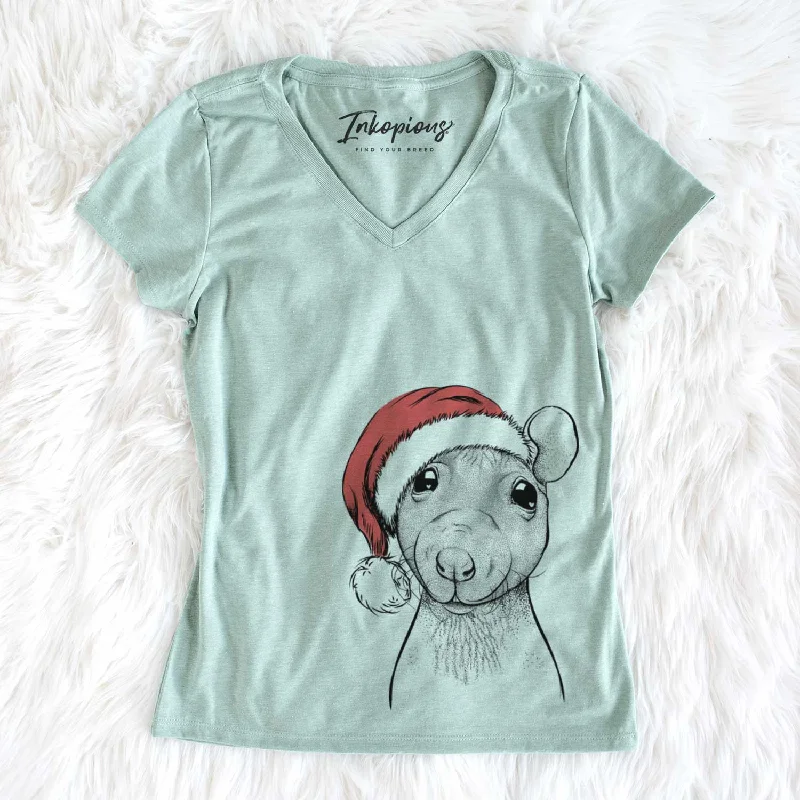 Santa Ruthie the Hairless Rat - Women's V-neck Shirt-- Satin Fabric Silk Fabric Chiffon Fabric Santa Ruthie the Hairless Rat - Women's V-neck Shirt-- Satin Fabric Silk Fabric Chiffon Fabric