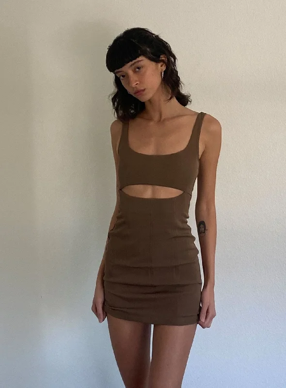 Hudson Mini Dress Brown Cozy Sweater Mini Dress
